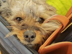 -猫的天空之城概念书店(苏州平江店)