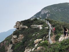 -杨梅坑