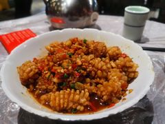 -壹盏灯(惠农店)