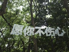 -杭州植物园