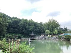 -陶祖圣境风景区
