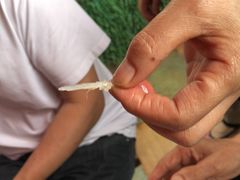 -鲜椒鱼·雅安地标性美食