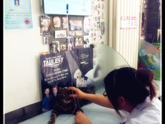 输液-中农大我爱我爱24h动物医院·中医针灸·猫专科·骨科医疗中心(双井店)