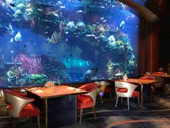-迪拜帆船酒店海底餐厅