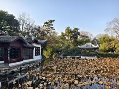 -无锡蠡湖国家湿地公园-蠡园