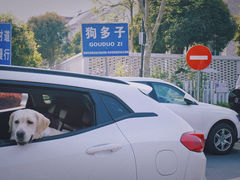 -龙坞茶村