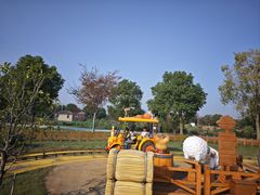 -溱湖国家湿地公园