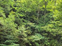 -藏龙百瀑风景区