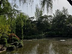 -秋霞圃