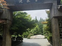 -习家池