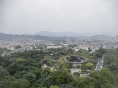 -福道