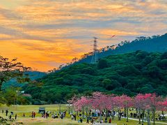 -风云岭森林公园