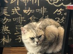 -不舍昼夜咖啡馆