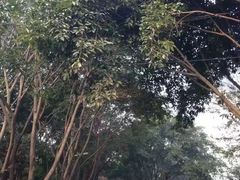 -西南交通大学-詹天佑体育馆