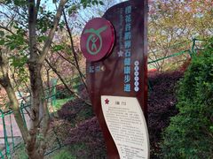 -南京市江宁方山