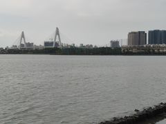 -万绿园
