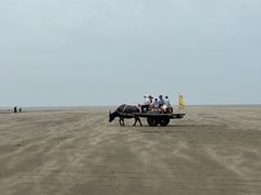 -启东黄金海滩景区