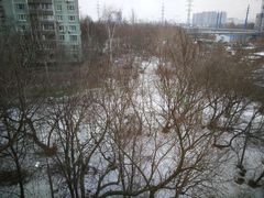 -基督救世主主教座堂