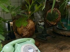 -大水的店(昙华林店)