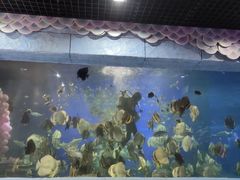 -梦幻海洋王国(吾悦广场张家港店)