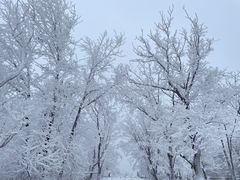 -中旅松花湖滑雪场