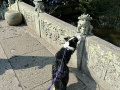 -普陀山慧济禅寺