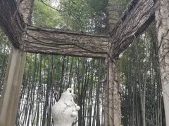 -柯岩风景区