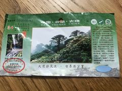 -苍山感通索道