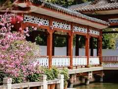 -西湖公园(鼓楼区)