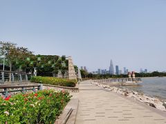 -深圳湾公园(南山区)