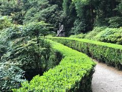 -井冈山革命烈士陵园