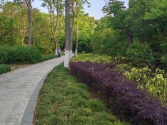 -昆山城市生态森林公园