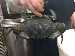 -無招牌海鮮(芽笼店)