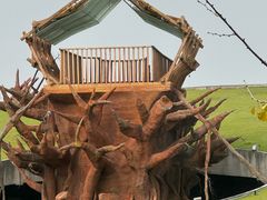 -合肥滨湖国家森林公园