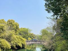 -西溪国家湿地公园