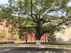 -东华门大街小区