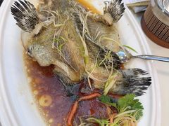 清蒸珍珠斑-凤凰楼酒家·粤宴点心(华强北店)