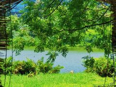 -华侨城湿地公园