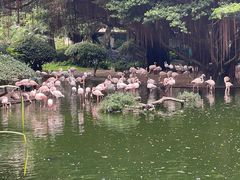 -九龙公园