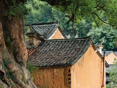 -杨家堂村