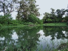 -两河城市森林公园