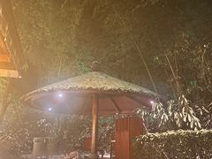 -天目湖御水温泉·度假酒店