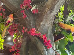 -草原塞蛮羊火锅城(港湾店)