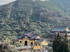 -树山生态村