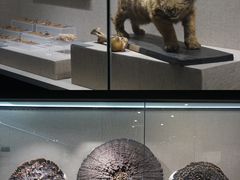 -南京中医药大学(仙林校区)