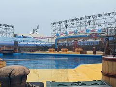 -海合安青岛极地海洋公园