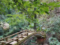 -波尔登森林公园