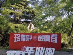 -山东大学(趵突泉校区)