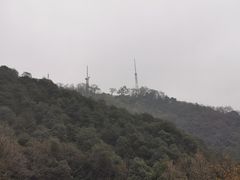 -韬光茶庵