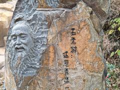 -千年银杏谷文化旅游区